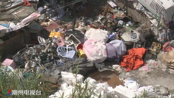 废品回收点藏身住宅区 居民生活受困扰