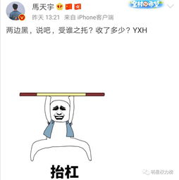 diss是什么意思中文 解析diss一词的中文含义?