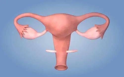 月经量少 经期短 警惕卵巢早衰 尽早艾灸抓紧调