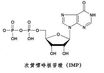 组成核酸的嘌呤碱主要有哪三种 