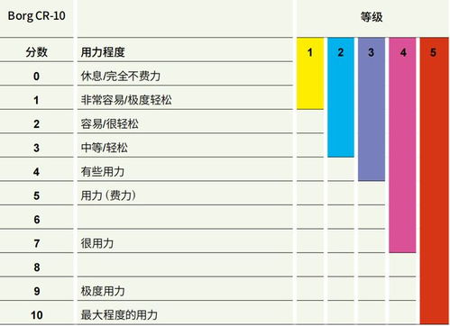 新冠康复运动学习 多项运动让你快速康复