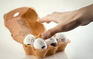 你家鸡蛋横放还是竖放 藏着你不知道的小秘密哦 