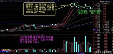 除权除息后，股数没变，为什么看账户钱少了很多