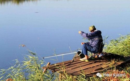 偷学成功,这样打窝钓鱼也太猛了,不愧是20年的老钓鱼人了