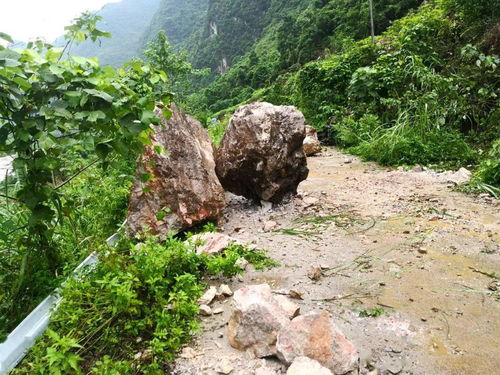 宜州一路段山体崩塌大石堵路,他们在行动...