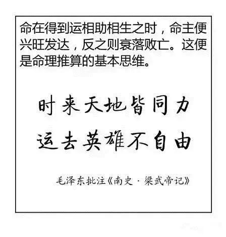 看图学命理八字,十分钟道尽命理天机 好料干货 