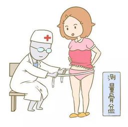 屁股大的女人真的好生养吗