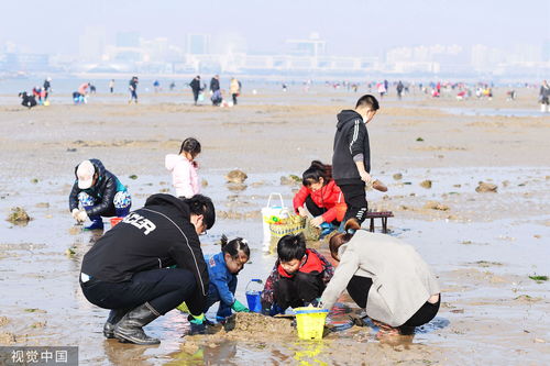 山东青岛 天文大潮现千人同赶海场景 