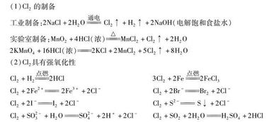 在化学方程式里，升降号怎么加?