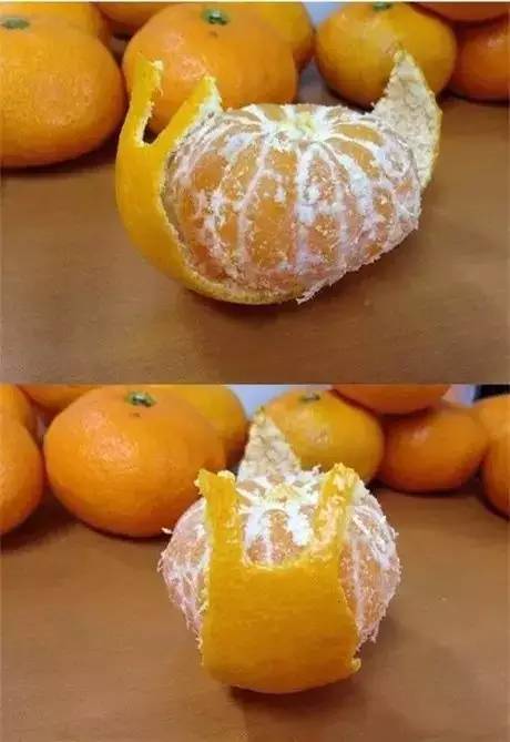 这么多年你都怎么剥橘子 看完觉得以前白吃了