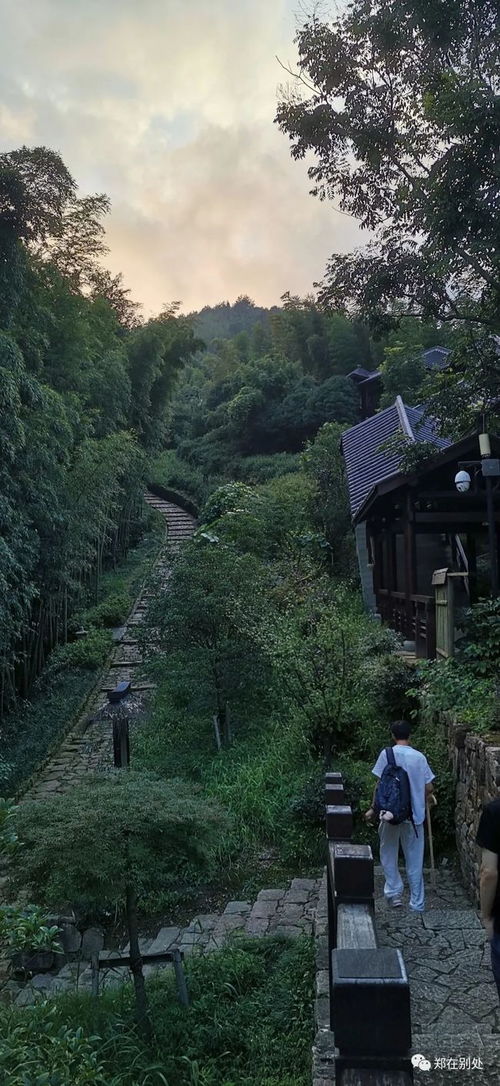 杭州徒步路线 径山古道,去了还想去