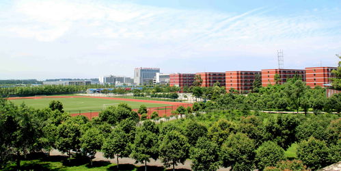 千万别考西北大学 (西北大学好考不)