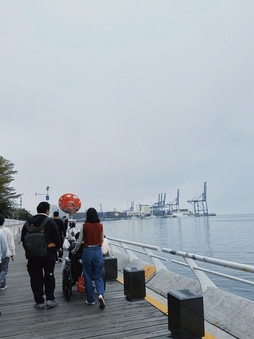 深圳盐田 海滨公园真的太美了 有花有海 