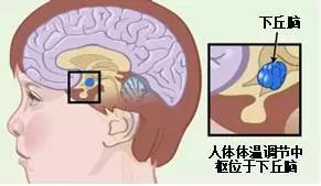 假如人类的正常体温上升1度 恐怕我们面对的又是一种景象