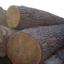 长知识 几十种颇有寓意的木材,总有一个符合你的气质