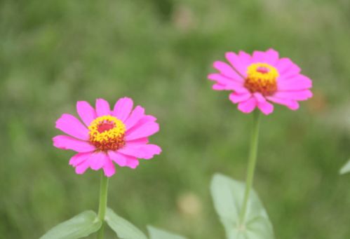 根据生辰八字来改名字,有没有好的改名大师推荐