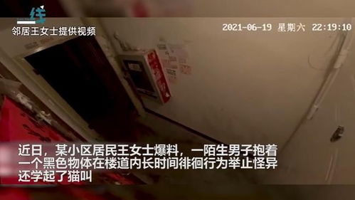 男子瞒老婆买游戏机 快递哥半夜送货学猫叫招来保安