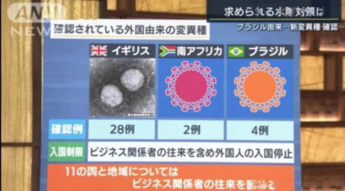 善析日本 近2个星期,约100名在日华人感染新冠 日本医疗前线正面临 生命的选择 ......