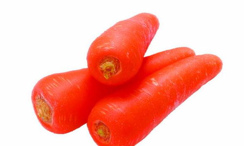 胡萝卜属于胀气食物吗 胡萝卜营养价值有哪些 今天告诉各位答案