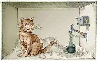薛定谔的猫 初衷意在批判量子力学