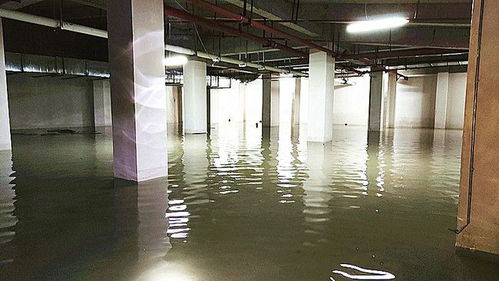 受强降雨影响,黔东南一小区地下车库被水淹没,积水最深约60公分