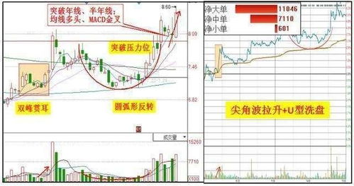 双风贯耳 和 双峰贯耳 .哪个叫法对?