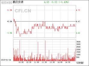 600490 鹏欣资源有什么概念