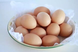 腰腹部赘肉多的像孕妇 每天3个鸡蛋 让你1周狂甩10斤肉 