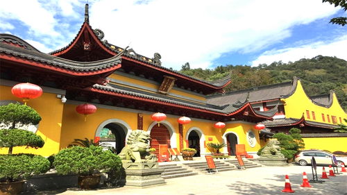 杭州西湖边仅有女性寺院,旁边就是热闹的灵隐寺,游客一直不多