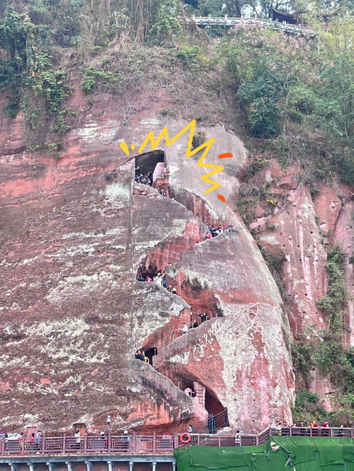 成都往返乐山一日游 一定注意不想爬山的进 