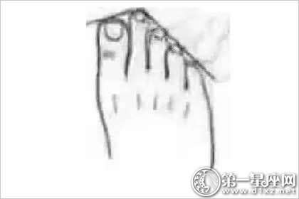 二拇指长是不孝 脚趾头长短的说法图片 