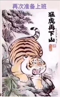 指数基金真的比主动型基金收益高吗 萌萌的猪猪侠 一个用自己的语言,自己的