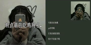 适合女生的 吃鸡 网名 技术不够名来凑,网友 改名卡已备好