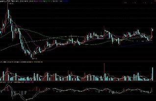 请教一下金健米业(600127)现在是适合购入吗？