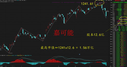 股票长线看什么指标？