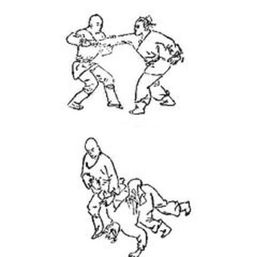传统武术四大名拳之一的形意拳,在实战搏击中的实战性有多强
