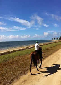 毛里求斯骑马攻略 莫奈山海洋骑马 西南沙滩骑马一日游 