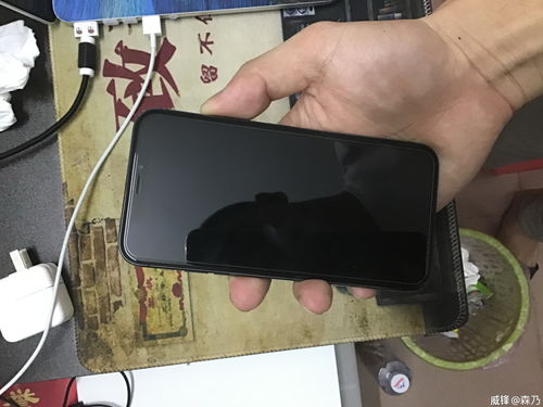 广州出美版两网无锁iPhoneX,或换XR