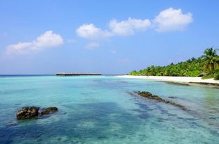 马尔代夫哪些岛有特色景点值得一去（马尔代夫10大最好岛屿）