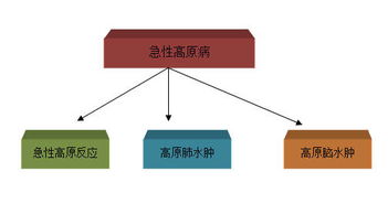 46岁副教授因高原反应离世,你还敢不重视 