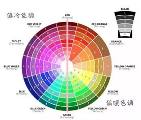 天仙 刘亦菲咋了 浑身臃肿仙气全无 选错了它,颜值再高也没用