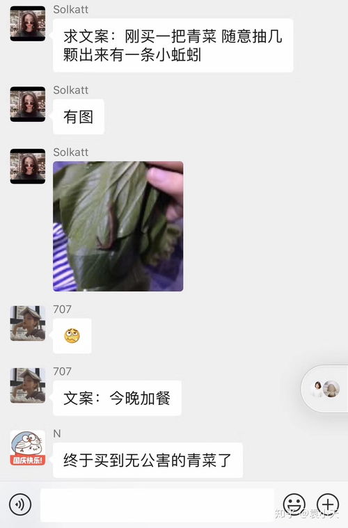 朋友圈只发自拍,配什么文案比较好 