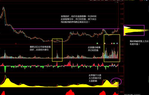 洛阳玻璃也是没业绩没市盈率的股票，怎么也能炒的那么高的价格?的股票