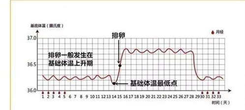 体温怎么量最准？