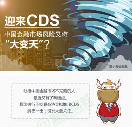 中国cds究竟是什么鬼