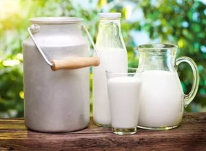 原创牛奶营养丰富，但这6类准妈妈却不宜喝牛奶，不利于胎儿生长发育