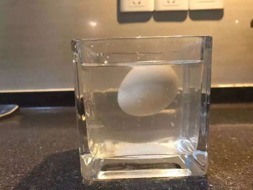 把鸡蛋放在水中，再放盐，鸡蛋就会浮起来。这是什么原理