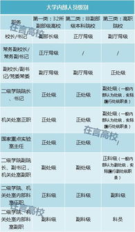 高校内部人员行政级别,一张表就全明白了