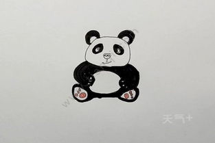 大熊猫怎么画简笔画 简单又美丽的熊猫画