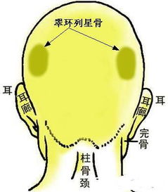 骨相大全 骨相中几种贵人命格,天命不凡